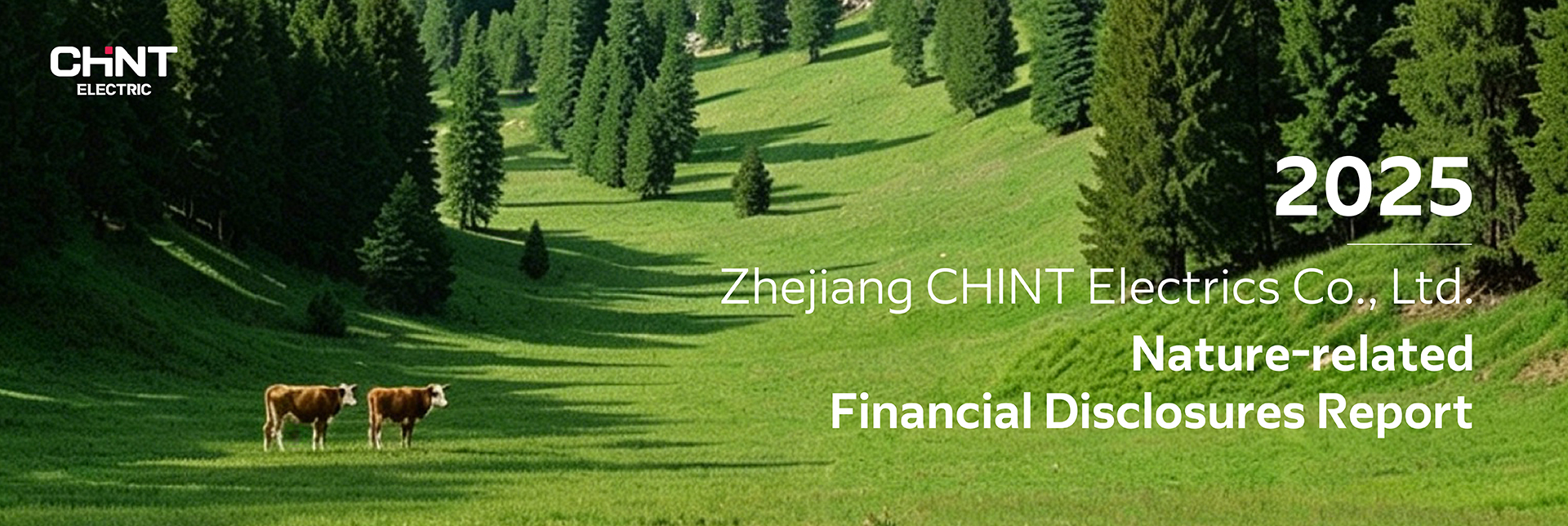 Smart Energy Solution Provider | CHINT